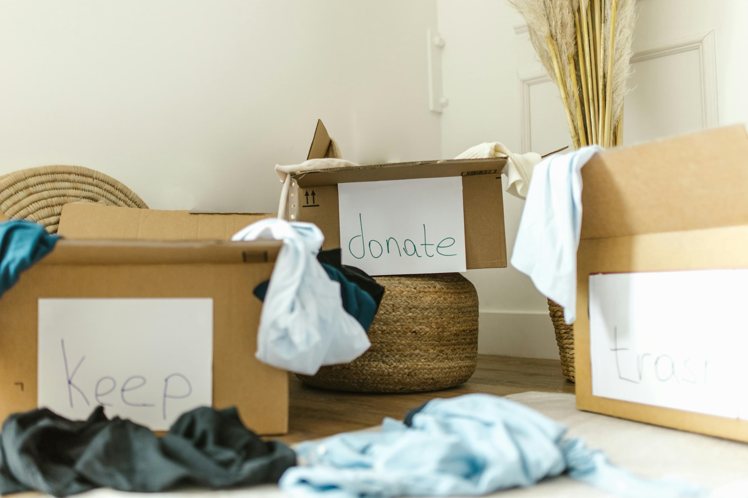 Donation Background